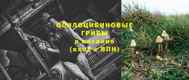 Псилоцибиновые грибы Magic Shrooms  Александровск 